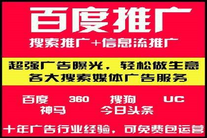 竞价广告与自然搜索的结合策略：XX网站的案例分析